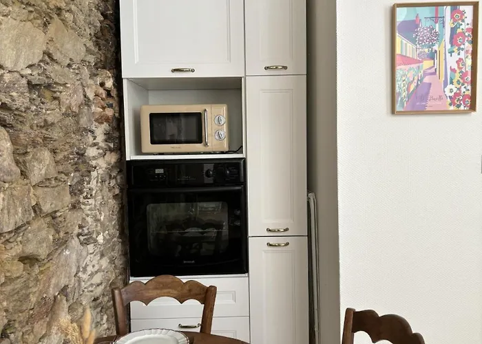 아파트 Gustave En Coeur De A 20 Metres De La *