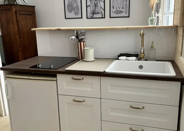 公寓 Gustave En Coeur De A 20 Metres De La 莱萨布勒-多洛讷